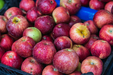 Fototapeta na wymiar Close up shot of fresh red and yellow apples