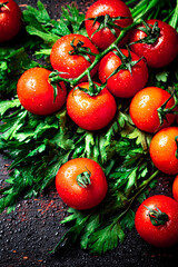 Fresh tomatoes on a branch with parsley. 