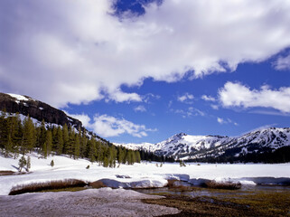 Monitor Pass, El. 8314 ft, California