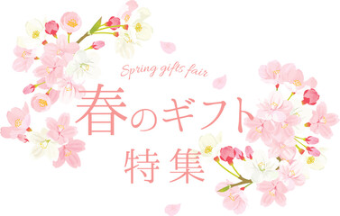 桜　春のギフト　イラスト