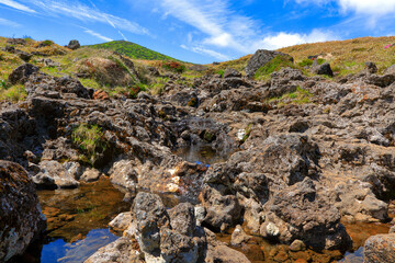 대한민국 제주도에 있는 한라산에 철쭉 꽃이 활짝 핀 
아름다운 봄 풍경이다.