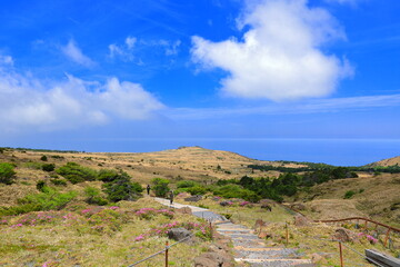 대한민국 제주도에 있는 한라산에 철쭉 꽃이 활짝 핀 
아름다운 봄 풍경이다.