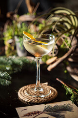 tasty cocktail in the bar