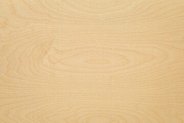 High key birch wood plank natural texture, plank texture background, plank tabletop background. Texture of wood. 