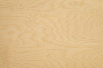 High key birch wood plank natural texture, plank texture background, plank tabletop background. Texture of wood. 