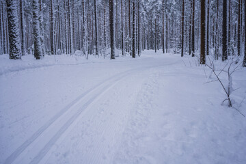 Fototapeta na wymiar Cross country skiing tracks through snowy forest . Salpausselkä, Lahti, Finland