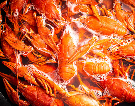 Crayfish are boiled in a pot in water. 