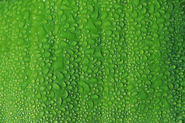 Green banana leaf with water drop.