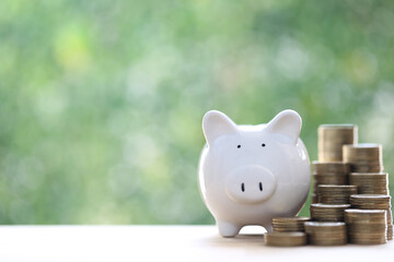 Piggy bank and stack of coins money on natural green background, Saving for prepare in future and Business investment concept