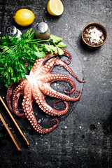 Fototapeta premium Fresh octopus on a stone board. 