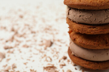 Concept of sweet food, cookies with ice cream, space for text