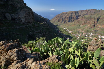 View towards the Valle Gran Rey, La Gomera, Canary Islands, Spain, with Cactus plants and the plunging cliffs of Valle Gran Rey. Picture taken from a hiking trail from Valle Gran Rey to El Cercado