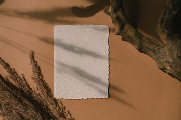 Handmade deckle edge paper with overlay shadows, dry tree branch on terracotta background. Paper...