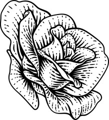 Fototapeta premium Rose Flower Design Woodcut Vintage Retro Style