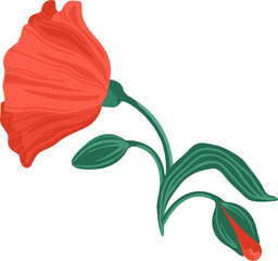 Red flower. Illustration