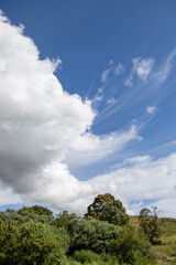 Obraz premium Clouds blown by the wind through a blue sky above a green countryside