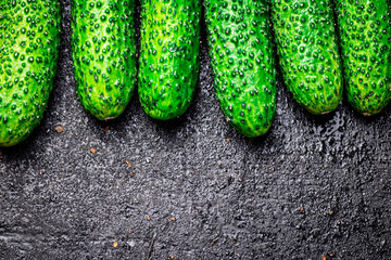 Bunch of fresh homemade cucumbers. 
