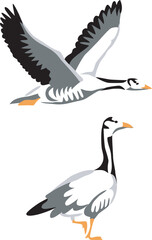 Obraz premium Bar-headed goose - illustration