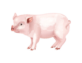 Realistic Pink Pig Composition