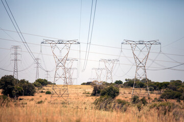 A row of electricity pylons