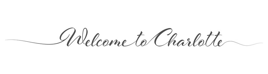 Fototapeta na wymiar Welcome to Charlotte. Stylized calligraphic greeting inscription in one line