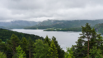 Fototapeta na wymiar Fjord in northern Norway on a rainy day surrounded by mountains and trees in the foreground