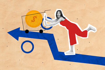Collage 3d image of pinup pop retro sketch of happy excited lady earning money isolated painting...