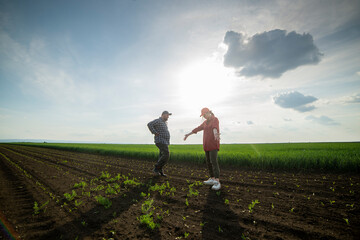 Fototapeta premium Young farmers examing planted young corn
