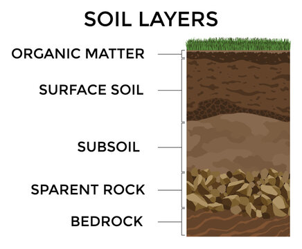 Soil layers. Surface horizons upper layer of earth structure with mixture of organic matter, minerals and stones. Dirt and underground clay layer under green grass