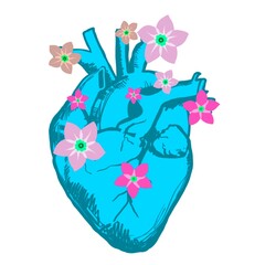 Cuore anatomico azzurro con fiori rosa sfondo bianco. Cartolina di San Valentino 