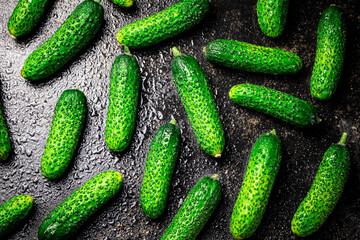 Ripe little cucumbers on the table. 