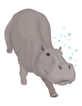 Hippo cartoon : 38 981 images, photos de stock, objets 3D et images  vectorielles