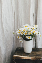 Beautiful daisy flowers on wooden rural chair in rustic room. Summer vibes, simple home decor in countryside. Daisy bouquet in modern ceramic vase in sunny room. Copy space