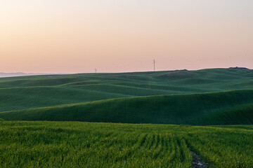 Morning of green fields in spring. A beautiful undulating spring landscape. Spring roll