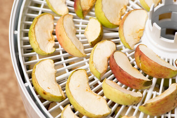 Close up shot of sliced dry apples in the electrical dryes. Concept of healthy nutrition, home dry food, sweet fruits with vitamins