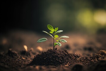 growing little tree in soil , idea concept of growing forest for environmental preservation Generative Ai