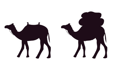 Set of two camels silhouette isolated on white background. Vector illustration.