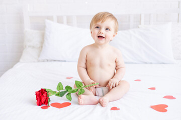 laughing baby boy blonde is sitting on the bed in diapers and with a red rose at home and smiling among the hearts, the concept of Valentine's Day or mother's Day