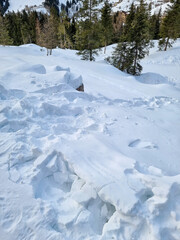 giornata sulla neve a foppolo
