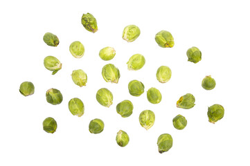 green fresh sprouts on transparent background, PNG