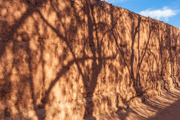 Shadows of trees on a primitive earthen wall in a street in San Pedro de Atacama, Chile