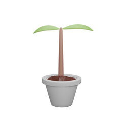 3D plant with leaves in pot isolated on transparent background PNG file format.