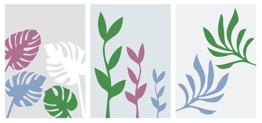 Collection of modern simple minimalistic abstractions: leaves of plants, monstera on a colored background