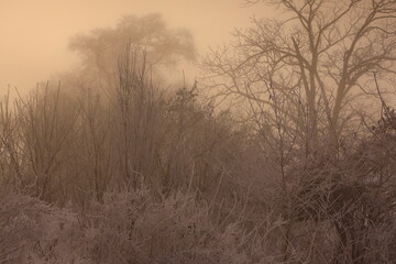 朝焼けの冬景色