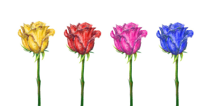 Side view of realistic colorful roses in digital painting illustration