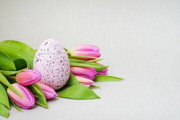 Easter greeting card, pink tulips with speckled egg on light gray background. Spring and Easter holiday concept with copy space