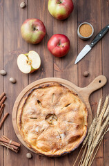 Homemade apple pie with fresh red apples
