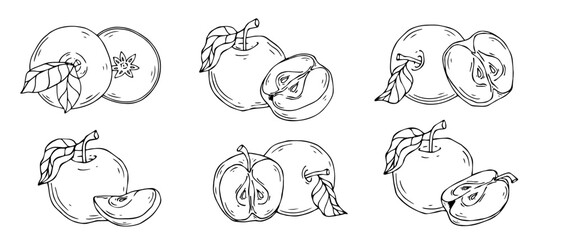 Set of Linear sketches of apples and pieces of fruit.Vector graphics.