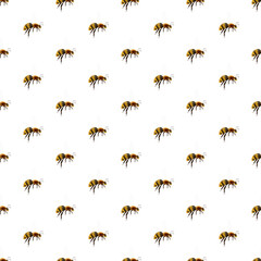 bee pattern seamless transparent