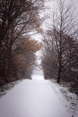 Road through a white frosty and snowy forest in Germany in winter
